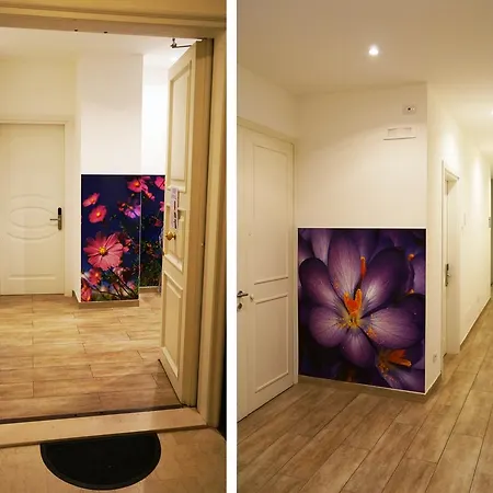 Terrazza Belfiore Отель типа 